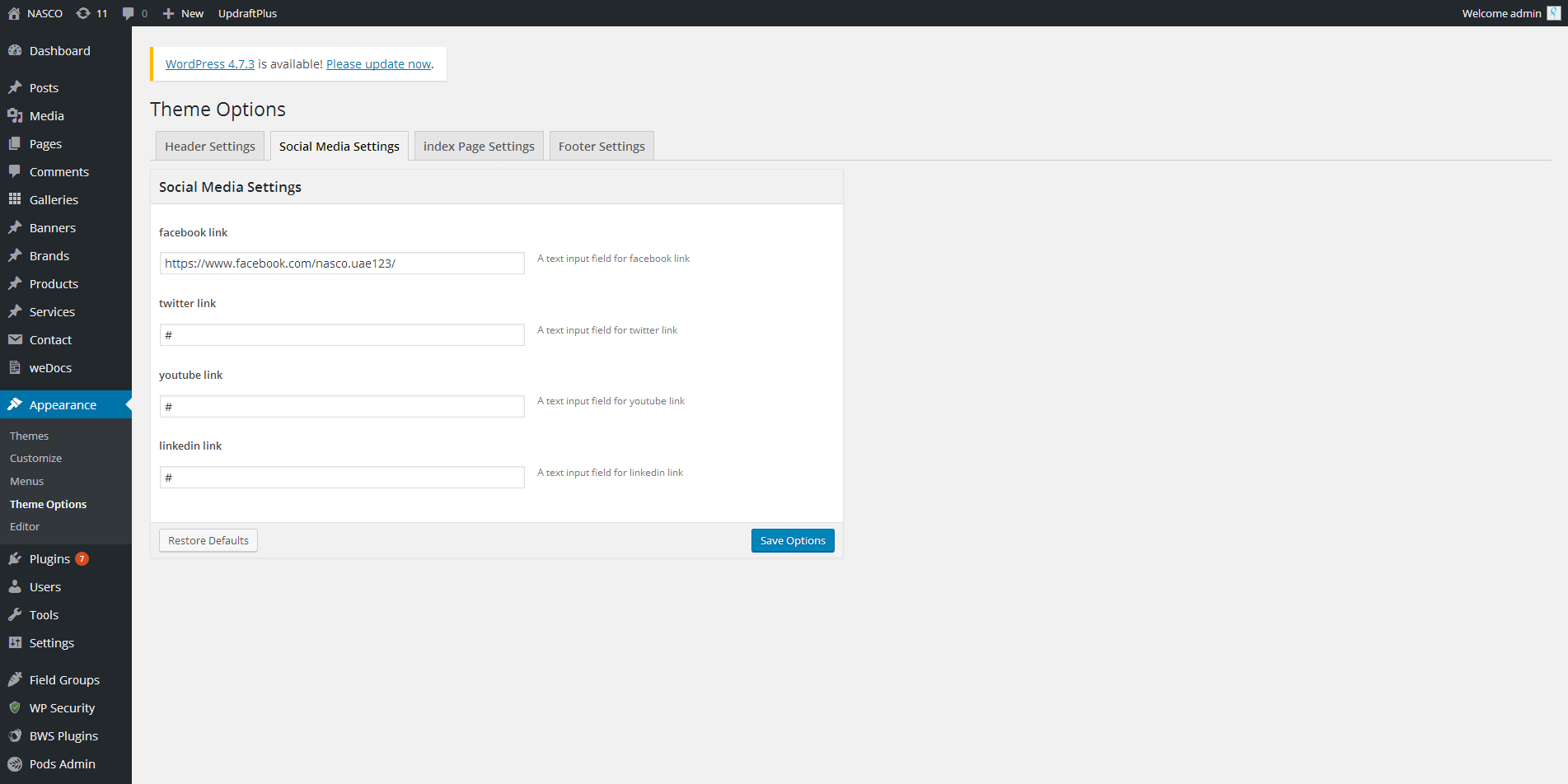 Theme Options ‹ NASCO — WordPress(1)