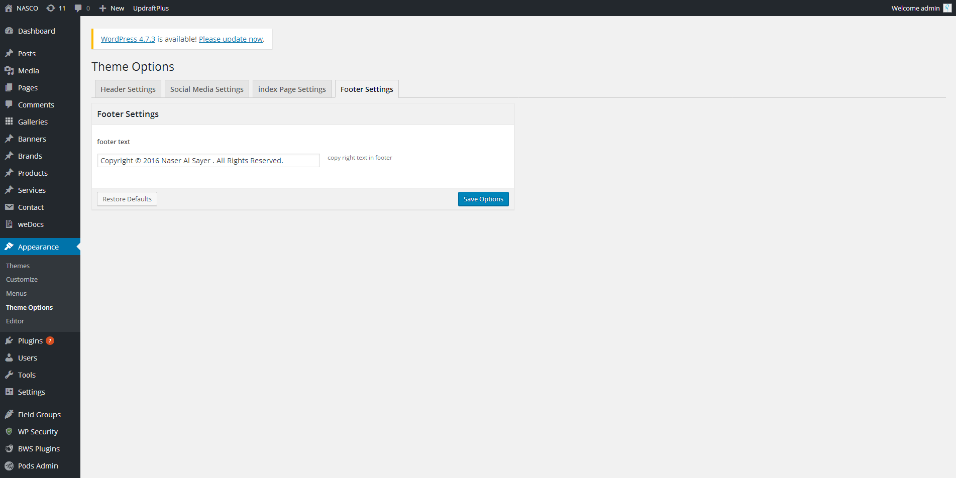 Theme Options ‹ NASCO — WordPress(3)